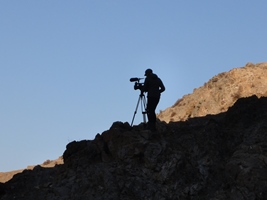 A film about the unique horse